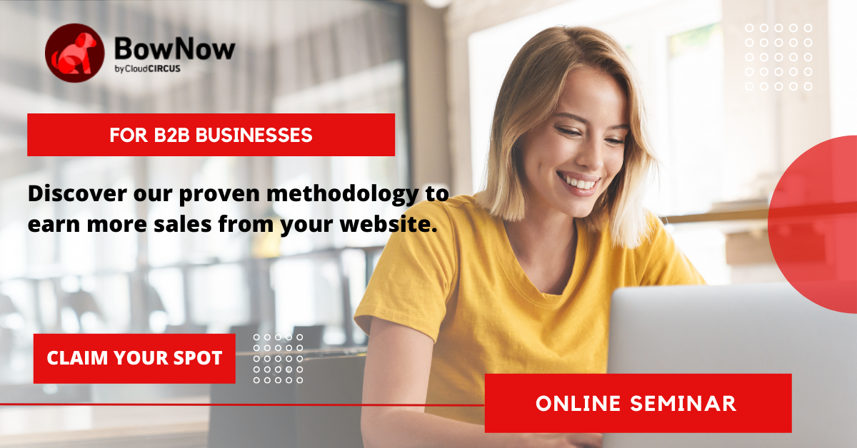 Webinar: How to Take Advantage of Your Website and Earn More Sales Online